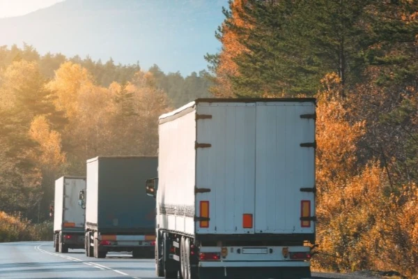 İzmir Sinop Nakliyat